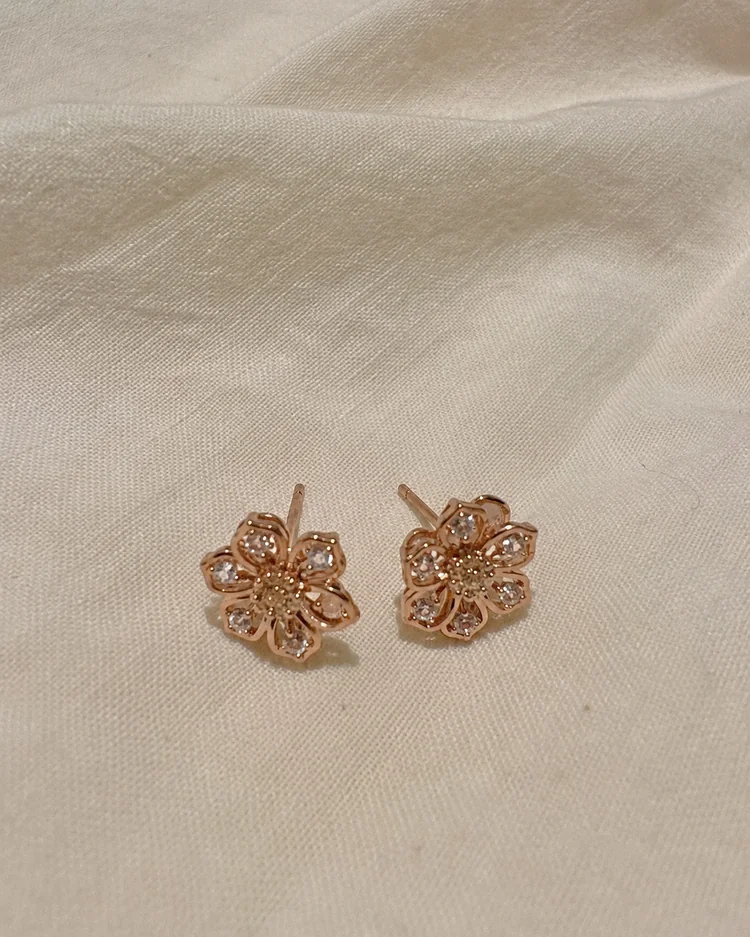 Original source for Earrings example 5