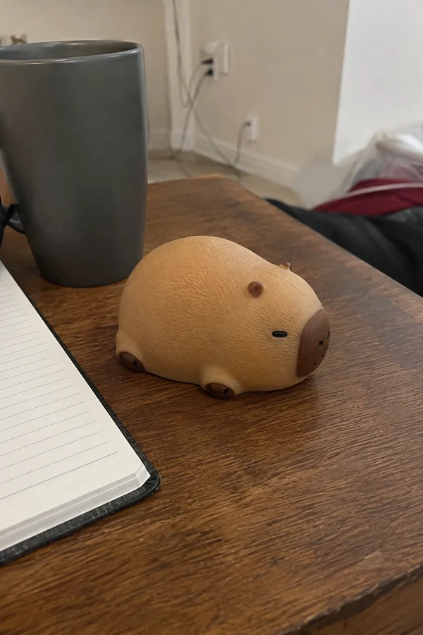 Original source for TikTok Shop example 16