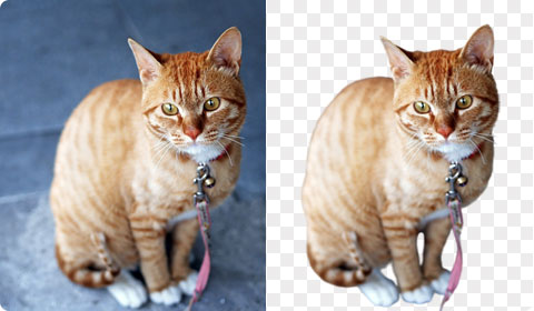 Background remover use case 6